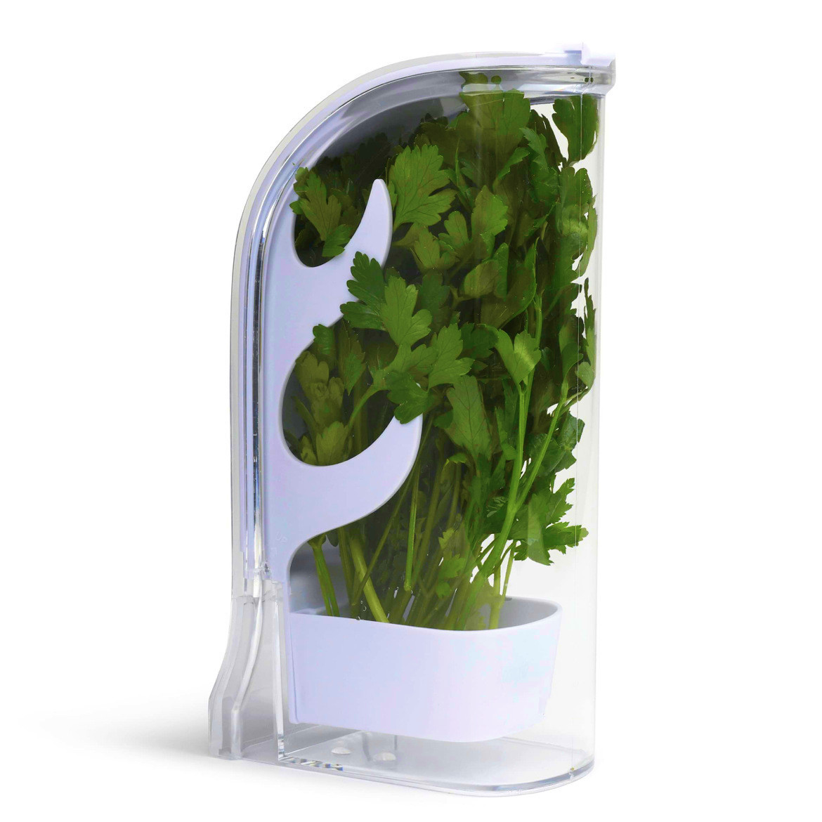 Herb Keeper Container - Contenitore per frutta e verdura per