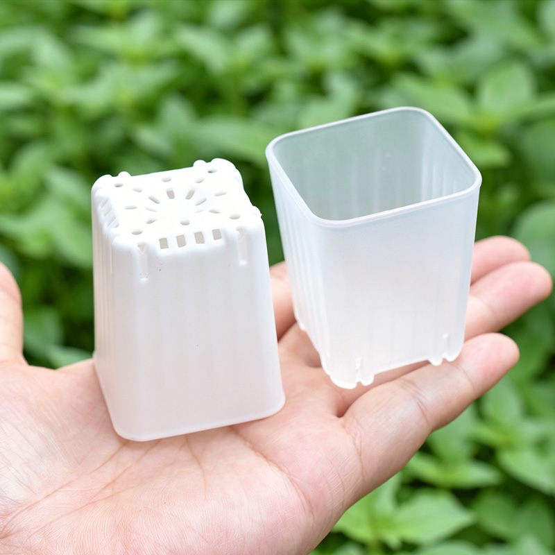 Food Storage Plants - 50-100 Pezzi Vaso Quadrato Mini da