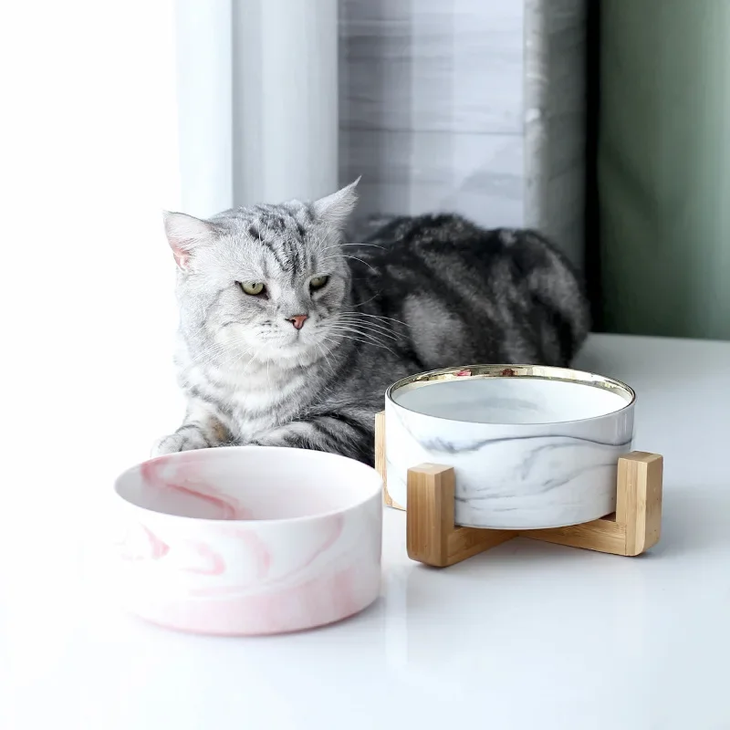Food Storage For Dog - Ciotola in Ceramica Effetto Marmo per