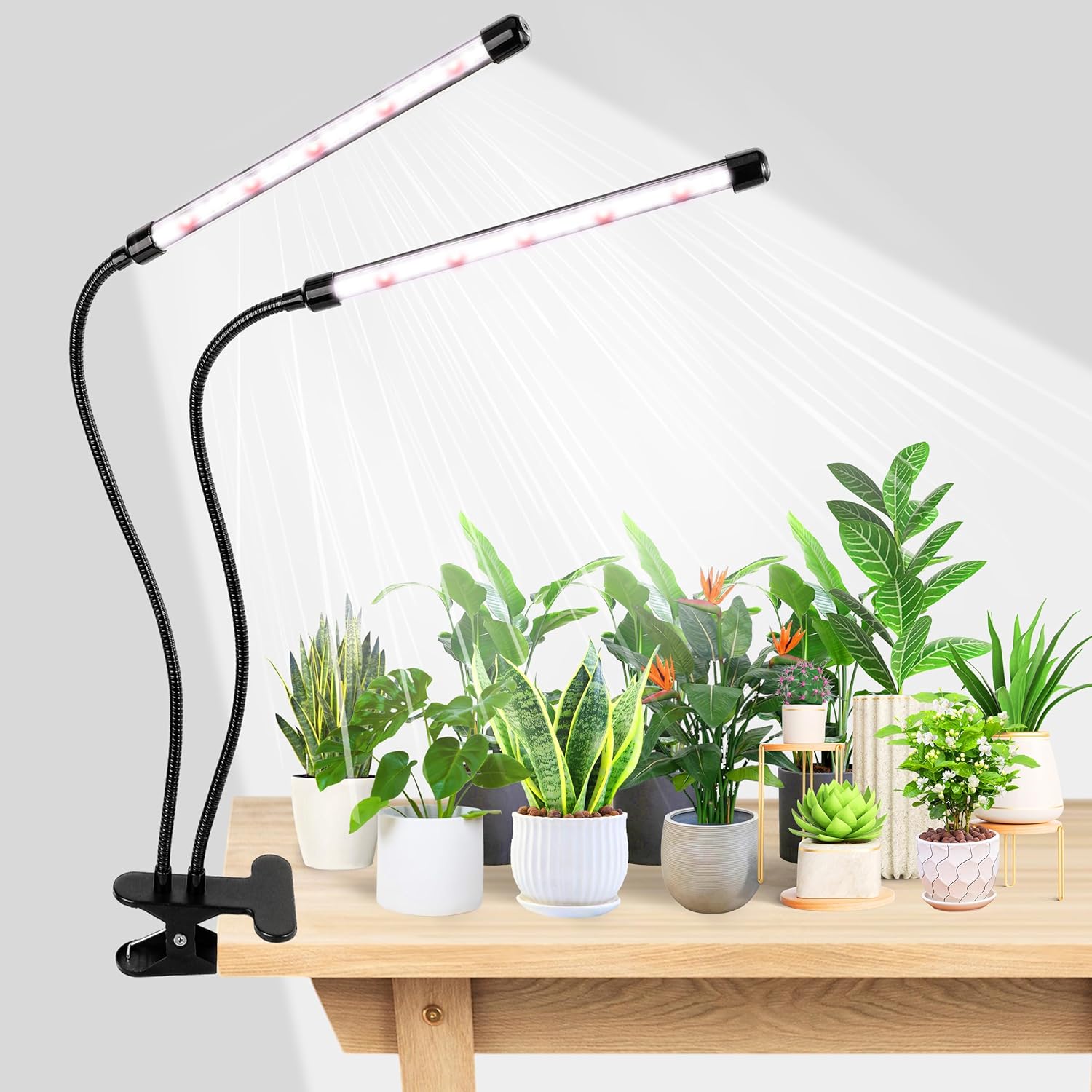 Food Storage Plants - KEBINCPLED Luce LED per la Crescita