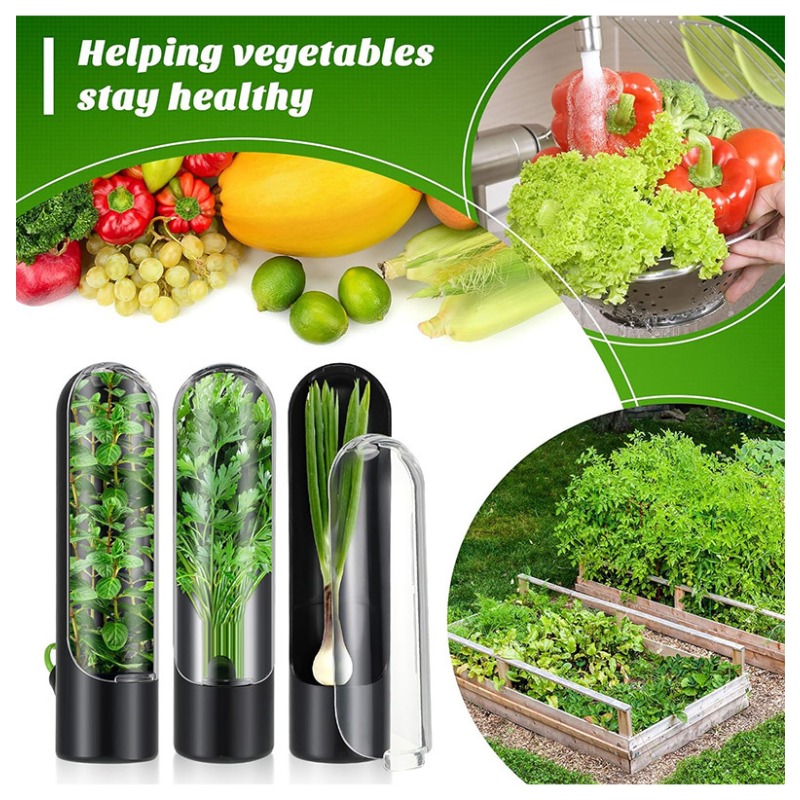 Herb Keeper Container - 1/2/3 Pezzi Contenitore per la Conservazione