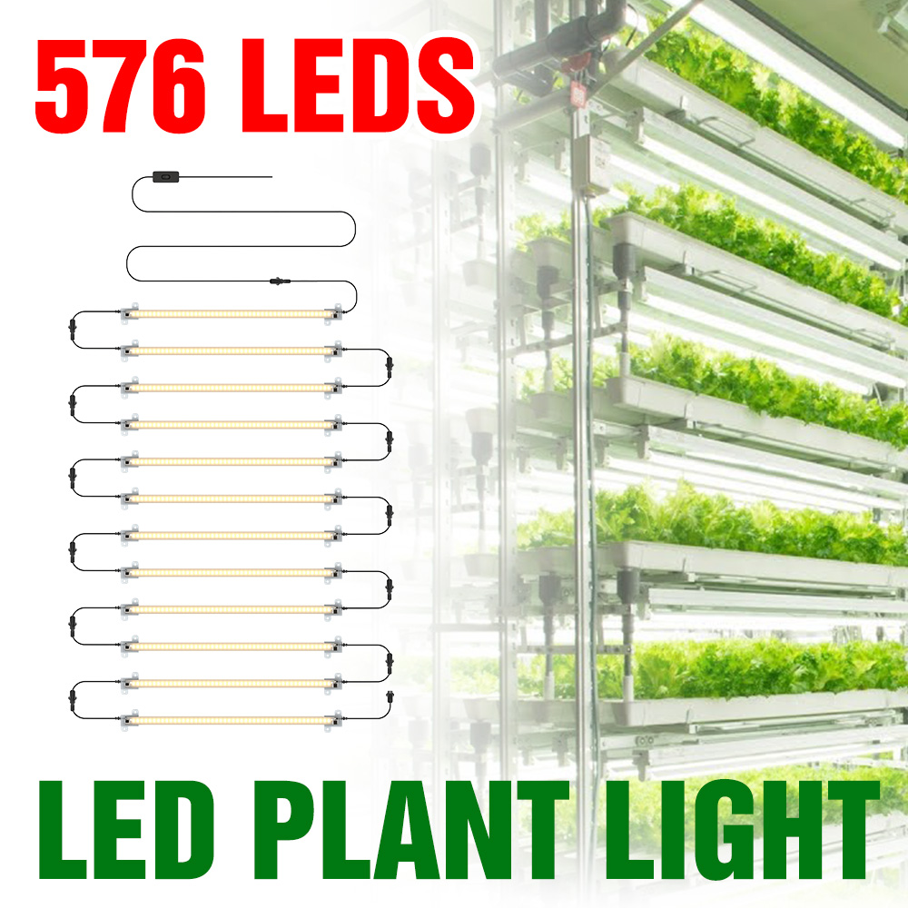 Food Storage Plants - LED Coltiva La Luce di Striscia