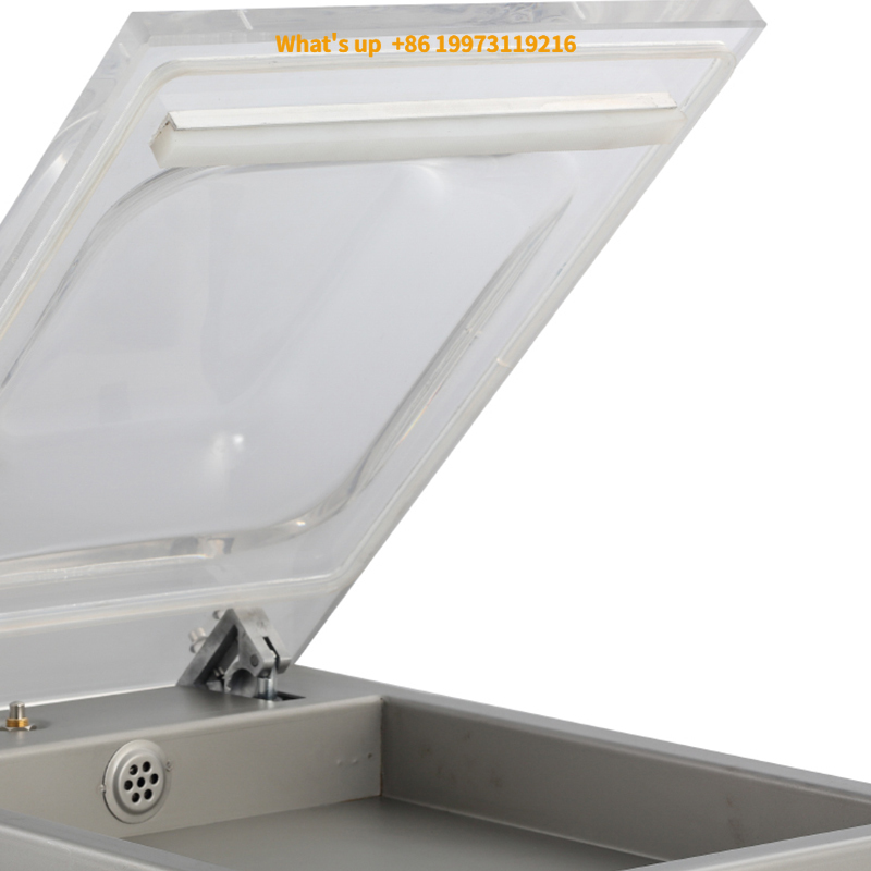 Food Storage Brands - 2026 DZ260 Prezzo di fabbrica Brand