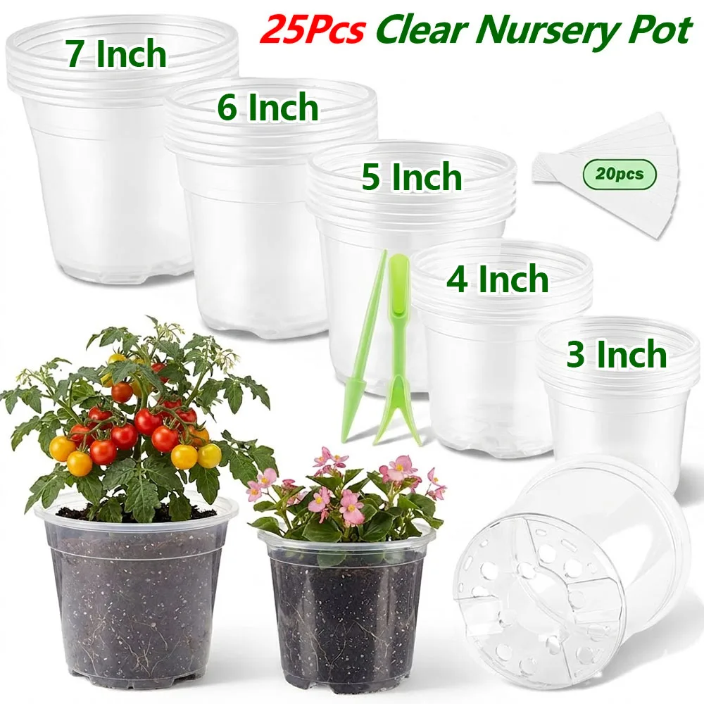 Food Storage Plants - 25 Pezzi Vasi da Vivaio Trasparenti
