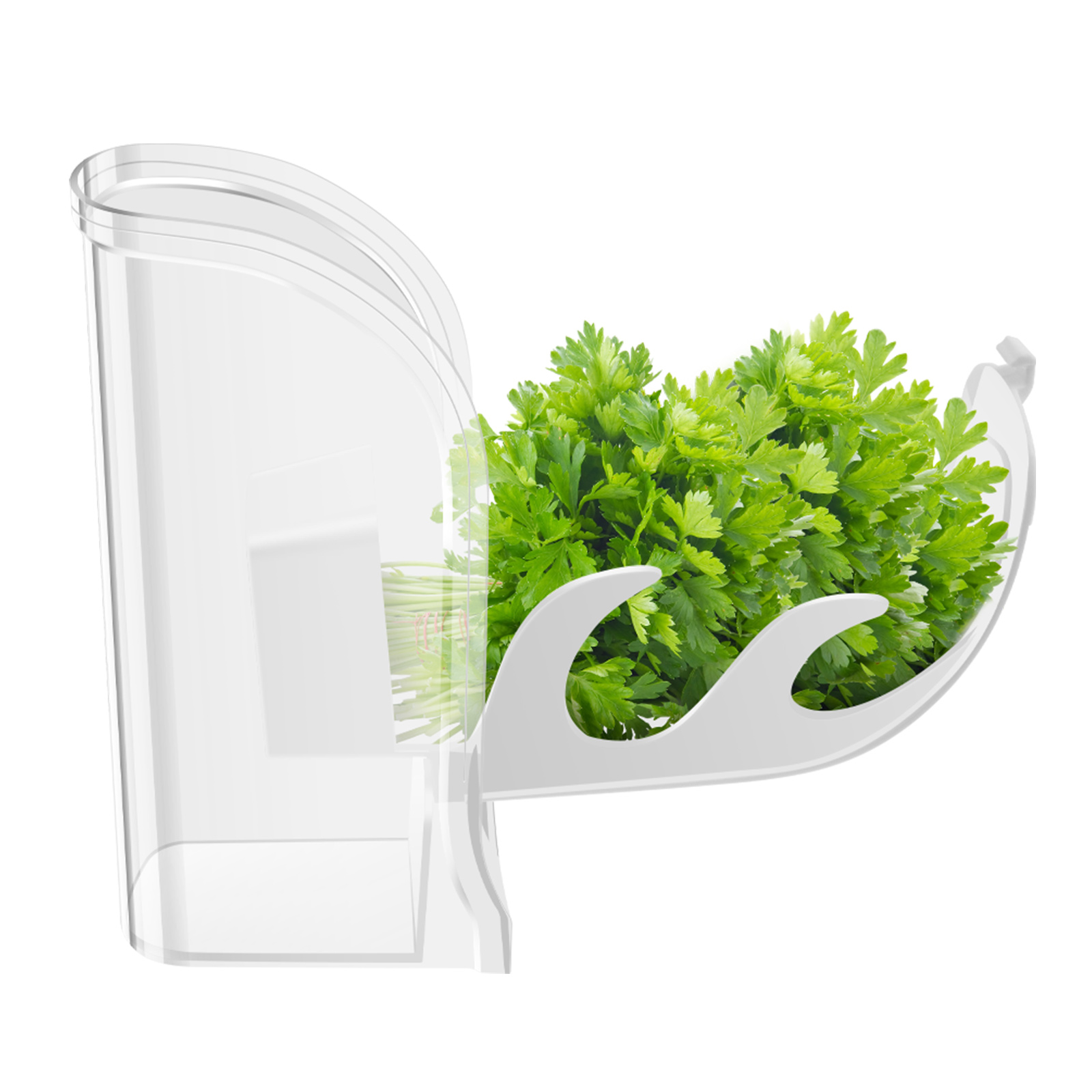 Contenitore per frutta e verdu - Herb Keeper Container recensione e prezzo
