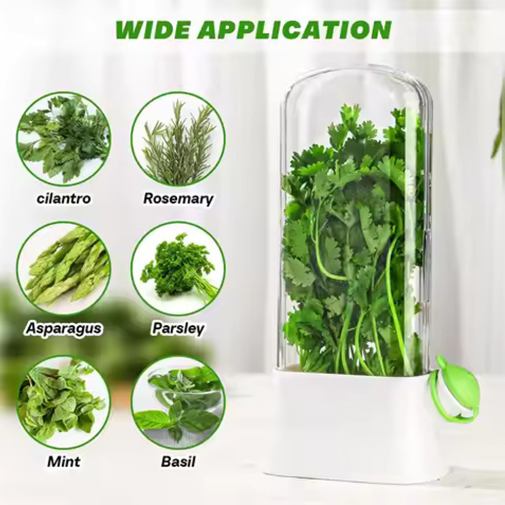 1pc Frigorifero Erbe Crisper S - Herb Keeper Container recensione e prezzo