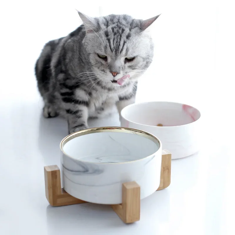 Ciotola in Ceramica Effetto Ma - Food Storage For Dog recensione e prezzo
