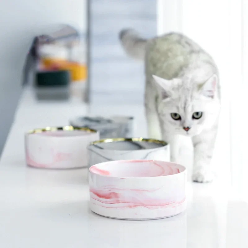 Ciotola in Ceramica Effetto Ma - Food Storage For Dog recensione e prezzo