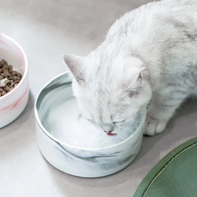 Ciotola in Ceramica Effetto Ma - Food Storage For Dog recensione e prezzo
