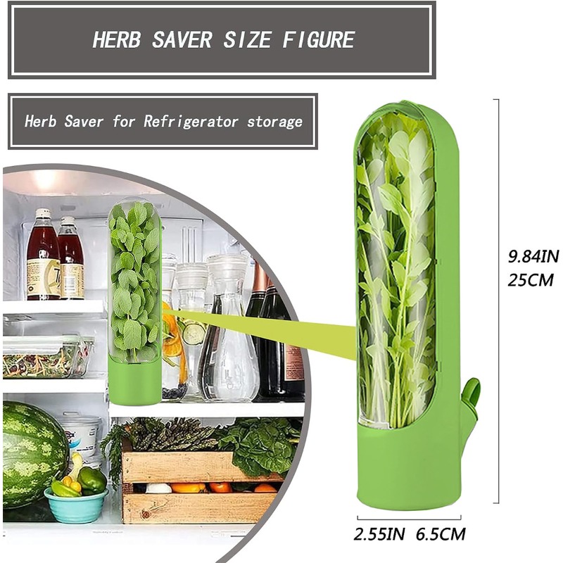1/2/3 Pezzi Contenitore per la - Herb Keeper Container recensione e prezzo