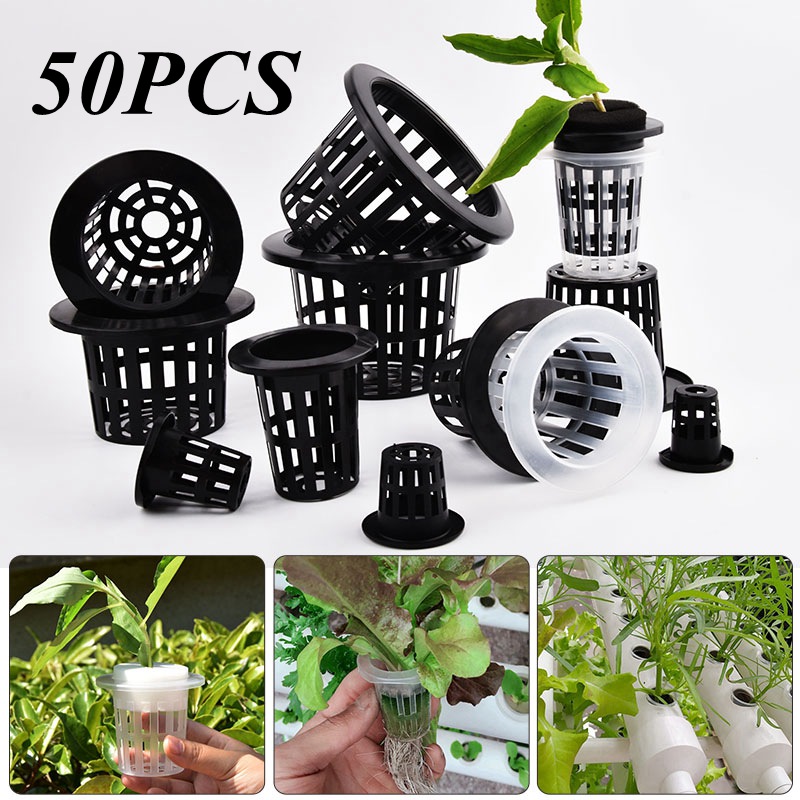 50 Pezzi Vasi per Coltivazione - Food Storage Plants recensione e prezzo