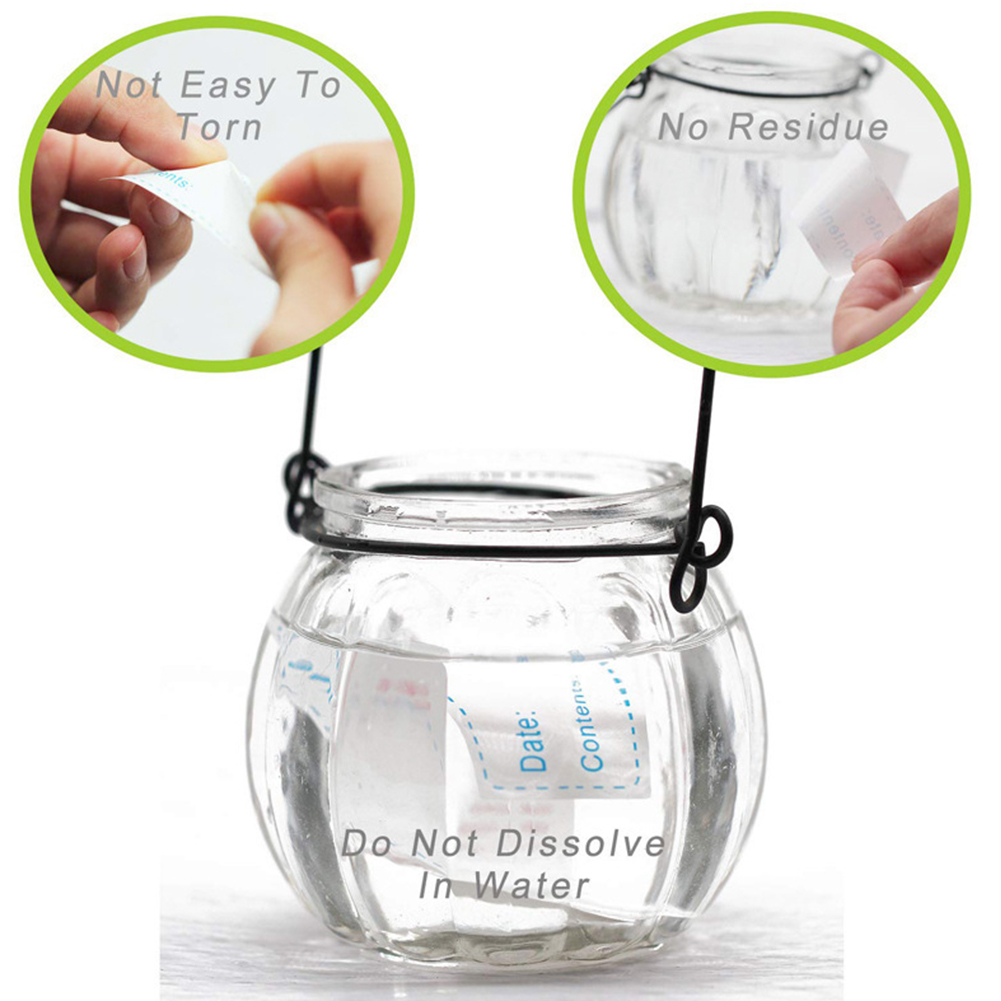250 Etichette Alimentari Disso - Food Storage In The Kitchen recensione e prezzo