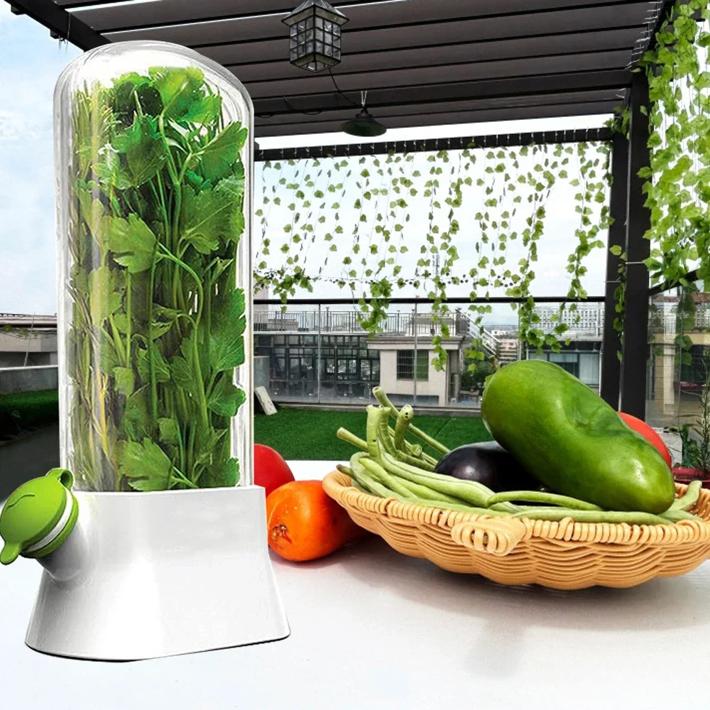 Contenitore per la conservazio - Herb Keeper Container recensione e prezzo