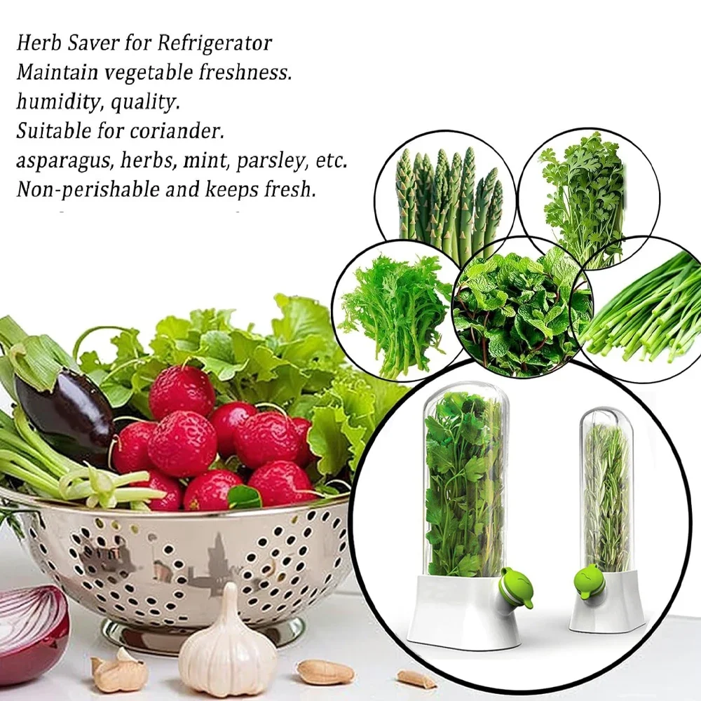 Contenitore per la conservazio - Herb Keeper Container recensione e prezzo