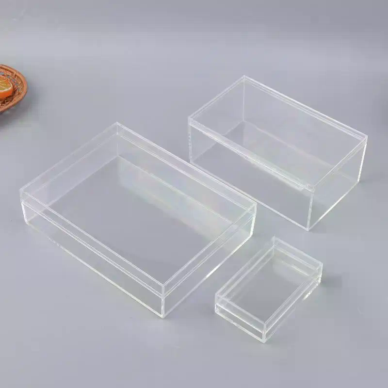 Nuova Scatola di Stoccaggio Re - Food Storage Plants recensione e prezzo