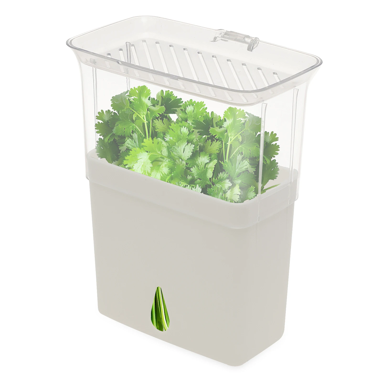 Contenitore Trasparente per la - Herb Keeper Container recensione e prezzo