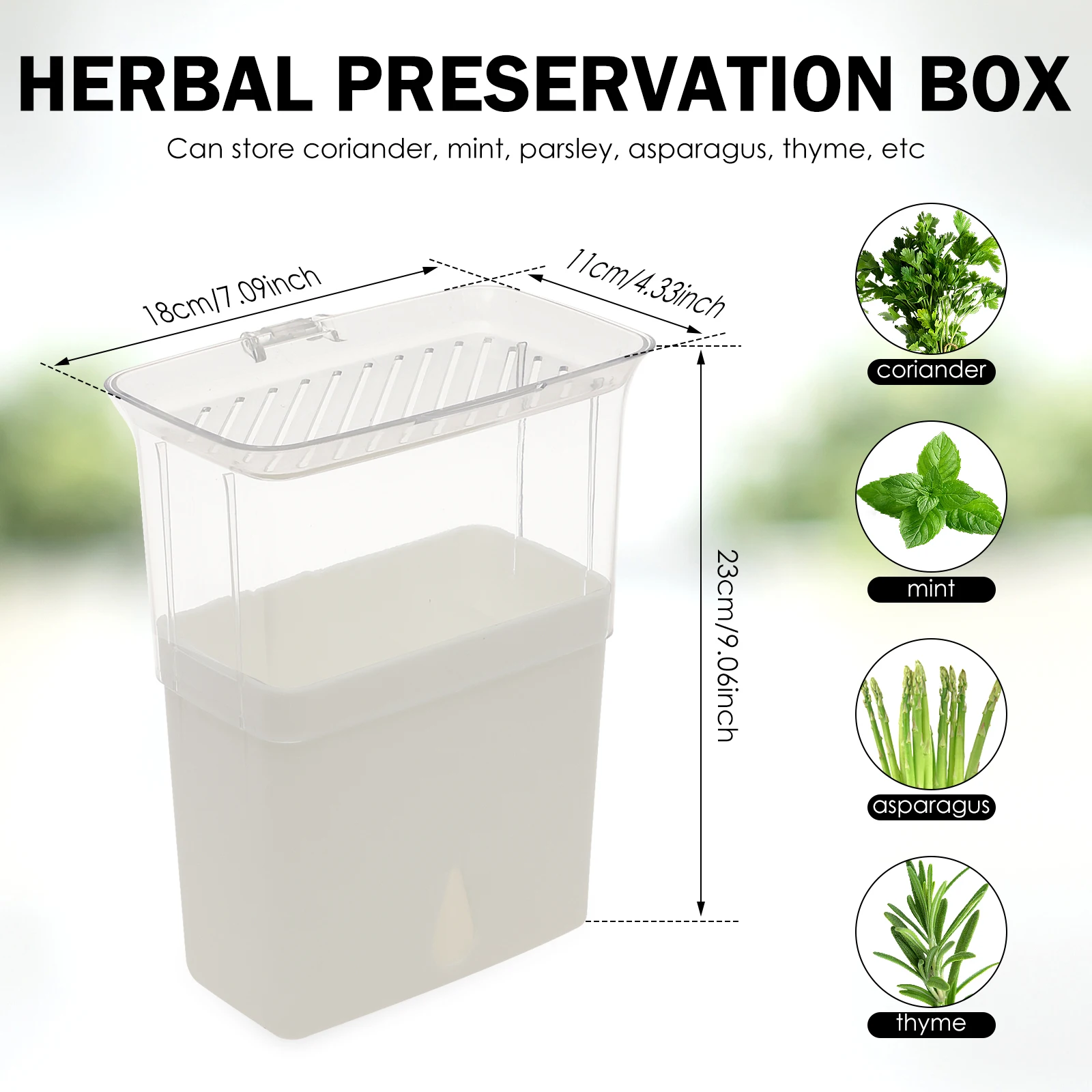 Contenitore Trasparente per la - Herb Keeper Container recensione e prezzo