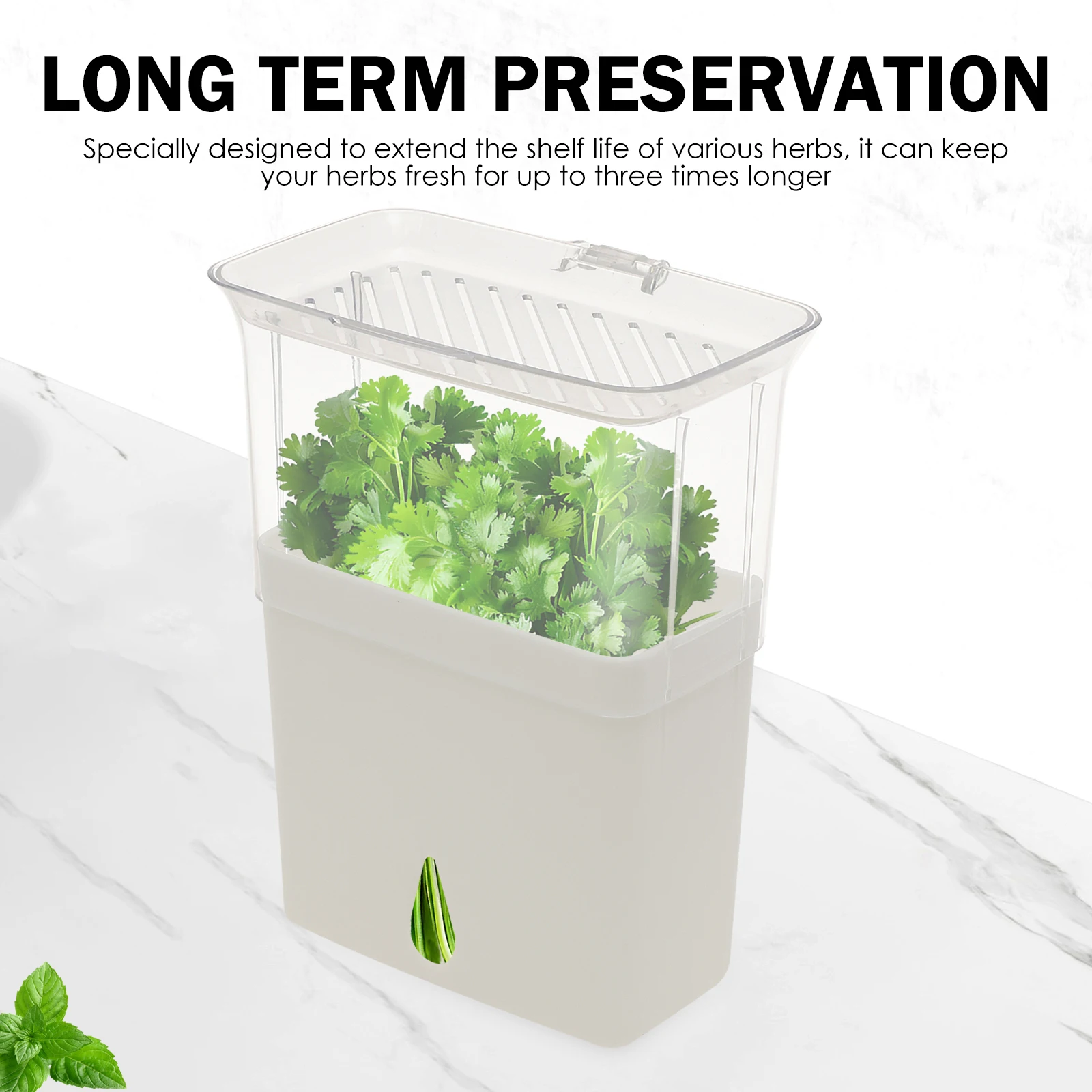 Contenitore Trasparente per la - Herb Keeper Container recensione e prezzo