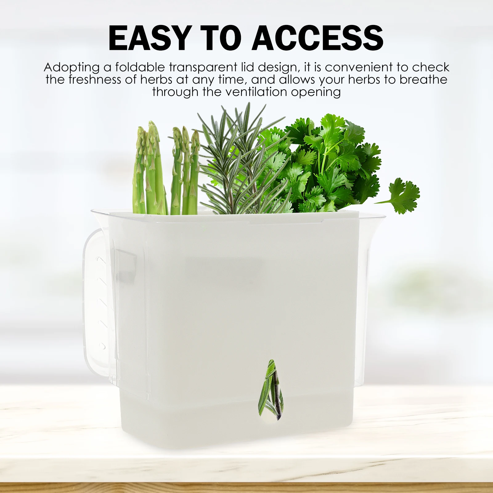 Contenitore Trasparente per la - Herb Keeper Container recensione e prezzo