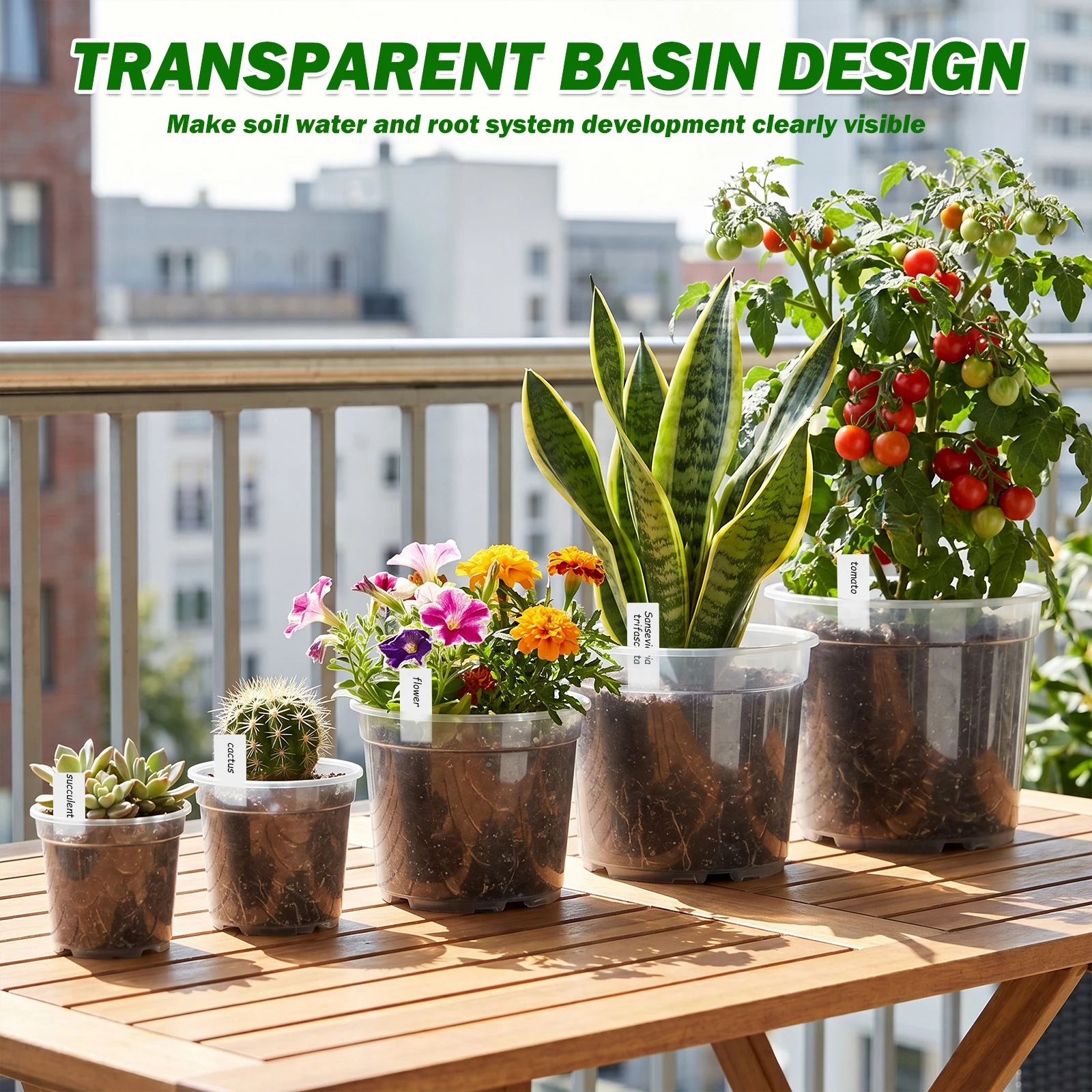 25 Pezzi Vasi da Vivaio Traspa - Food Storage Plants recensione e prezzo